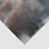 Oude waterverf trein in de winter tissuepapier (Detail)