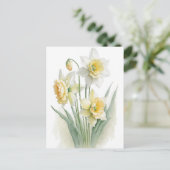 Oude waterverf witte en gele narcissen briefkaart (Staand voorkant)