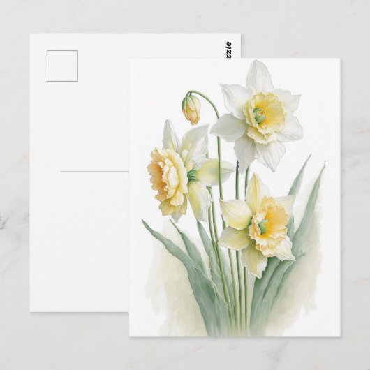 Oude waterverf witte en gele narcissen briefkaart (Voorkant / Achterkant)