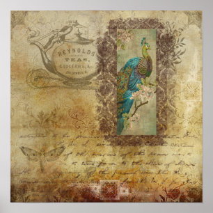 Oude Wereld Antieke Pauw Thee Faux Poster
