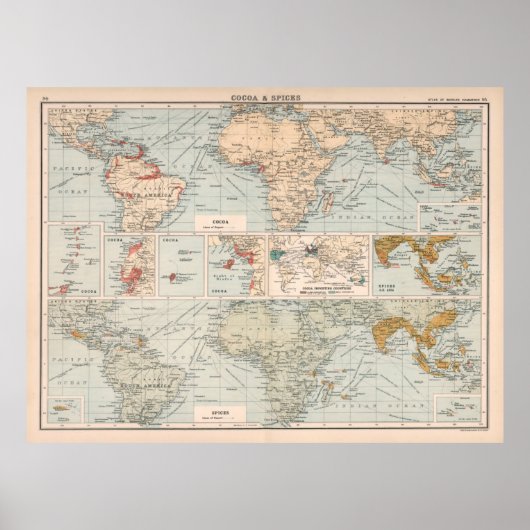 Oude Wereld Cacao & Specices Map (1907) Poster (Voorkant)