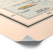 Oude Wereld Cacao & Specices Map (1907) Poster (Hoek)