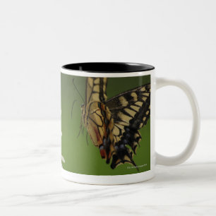 Oude Wereld Swallowtail Flying Tweekleurige Koffiemok