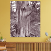 Oude wervelkolom canvas afdruk (Insitu (Woonkamer))