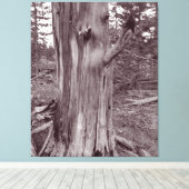 Oude wervelkolom canvas afdruk (Insitu (Houten vloer))