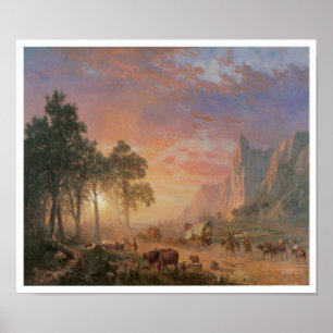 Oude West Scene Cattle Drive  Art Poster