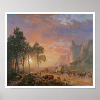 Oude West Scene Cattle Drive  Art Poster