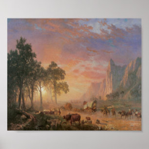 Oude West Scene Cattle Drive  Art Poster