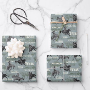 Oude West Wagen Rodeo Cowboy Bizon Grijs Blauw Paa Inpakpapier Vel