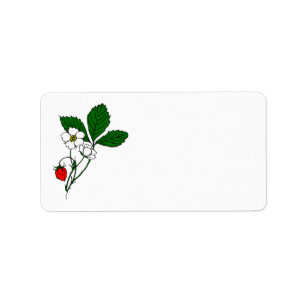 Oude wilde aardbei kunst blanco label