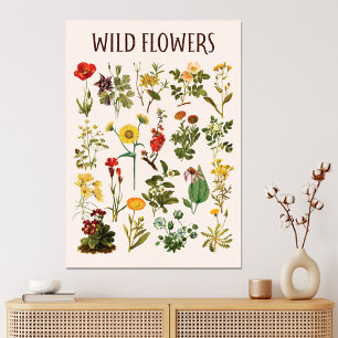 Oude Wilde Bloem Grafiek Canvas Afdruk