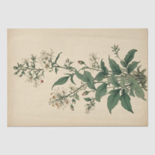 Oude Wilde Bloemen Print Tissuepapier