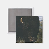 Oude Wilde Dier, Buffel of Amerikaanse Bizon Magneet (Voorkant / Achterkant)