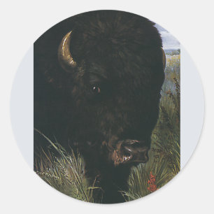 Oude wilde dier, buffel of Amerikaanse bizon Ronde Sticker