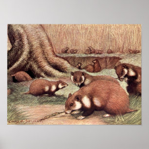 Oude wilde dieren, hamsters door Louis Sargent Poster