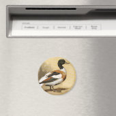 Oude wilde dieren vogels, wilde eend magneet (Insitu (Vaatwasser))