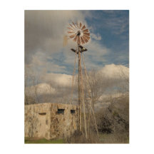 Oude Windmolen Hout Wandkunst