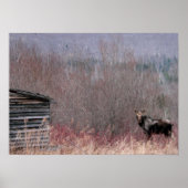 oude woning poster (Voorkant)