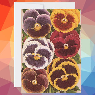 Oude zaadpaketlabels, tuin viooltjes bloemen