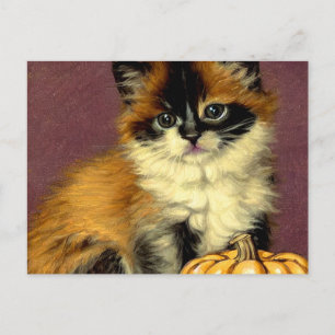 Oude-zakdoek Halloween Kat Feestdagenkaart