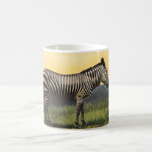 Oude zebra in de Afrikaanse savanne, wild dier Koffiemok