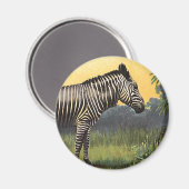 Oude zebra in de Afrikaanse savanne, wild dier Magneet (Voorkant / Achterkant)