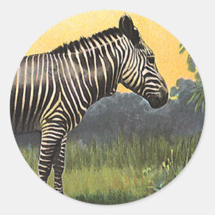 Oude zebra in de Afrikaanse savanne, wild dier Ronde Sticker