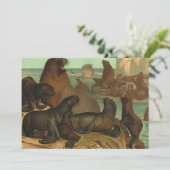 Oude zeeleeuwen op het strand, dierlijk zeeleven (Staand voorkant)