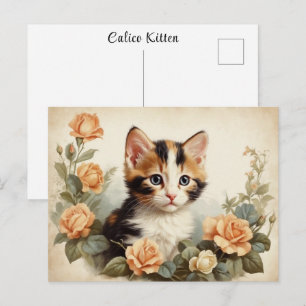 Oude Zoete Lapjeskat Portret Bloemen Mielig Briefkaart