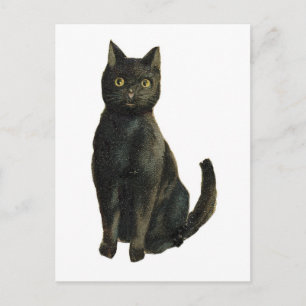 Oude zwarte kat met fashioned Halloween Briefkaart