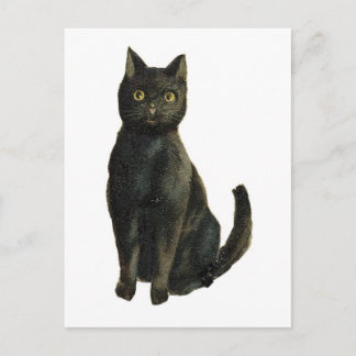 Oude zwarte kat met fashioned Halloween Briefkaart
