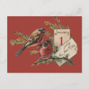 Oudejaarsvogels Feestdagenkaart