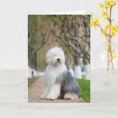 Oudengelse herdershond Wenskaarten Kaart (Gele Bloem)