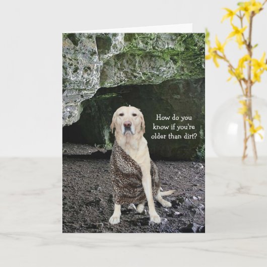 Ouder dan vuil? kaart (Gele Bloem)