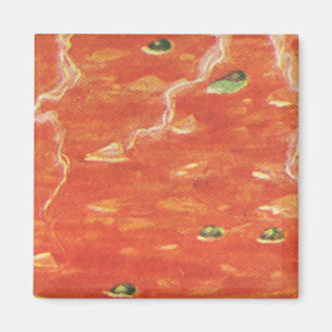 Ouderwets eten, warme kom tomatensoep met erwten magneet