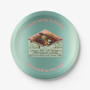 Ouderwetse baby shower met nestelende vogels papieren bordje