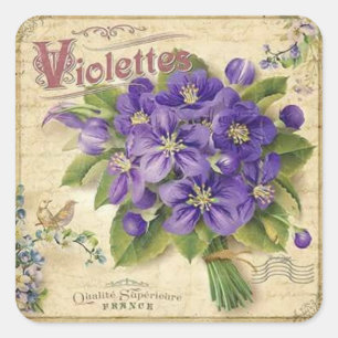 Ouderwetse bloem viooltjes elegante sticker