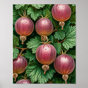 Ouderwetse Groene Bes Plant Rustieke Keuken Decora Poster