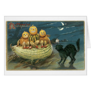 ouderwetse halloween, pompoenen & zwarte kat