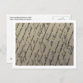 ouderwetse handschrift briefkaart (Voorkant / Achterkant)