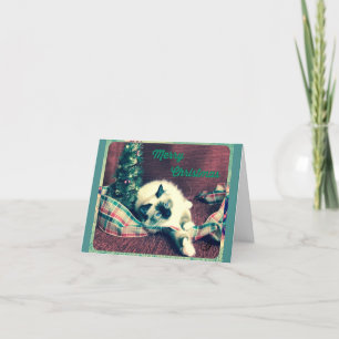 Ouderwetse Merry Birman Kerstmis Feestdagen Kaart