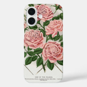 Ouderwetse Roze Roos Botanische Cottagecore Kunst iPhone 16 Hoesje