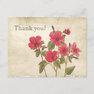 Ouderwetse Roze Wilde Bloemen Bedankt Briefkaart