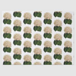Ouderwetse Roze Witte Groene Hortensia Bloemen #2 Tissuepapier
