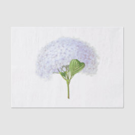 Ouderwetse Witte Hortensia Bloem Bloemstuk Tissuepapier
