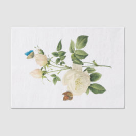 Ouderwetse Witte Rozen #1 Vlinders Bloemen Bloemst Tissuepapier