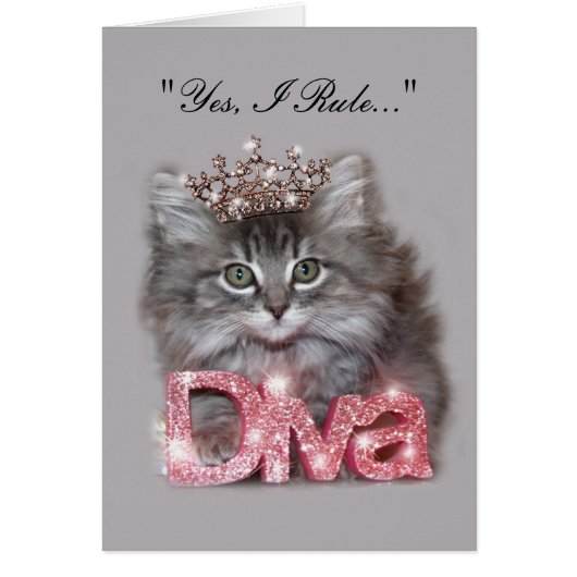 "Oui, je règle !" Diva de Kitty (Devant)