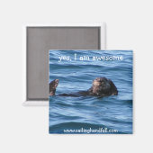 oui je suis super aimant de la loutre de mer (Recto/Verso)