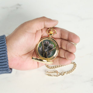 Ouistitis minuscules parmi les branches, montre de