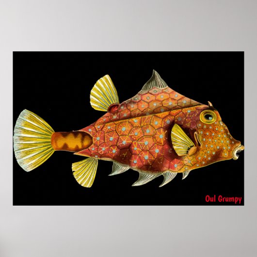 Oul Grumpy Poster (Voorkant)